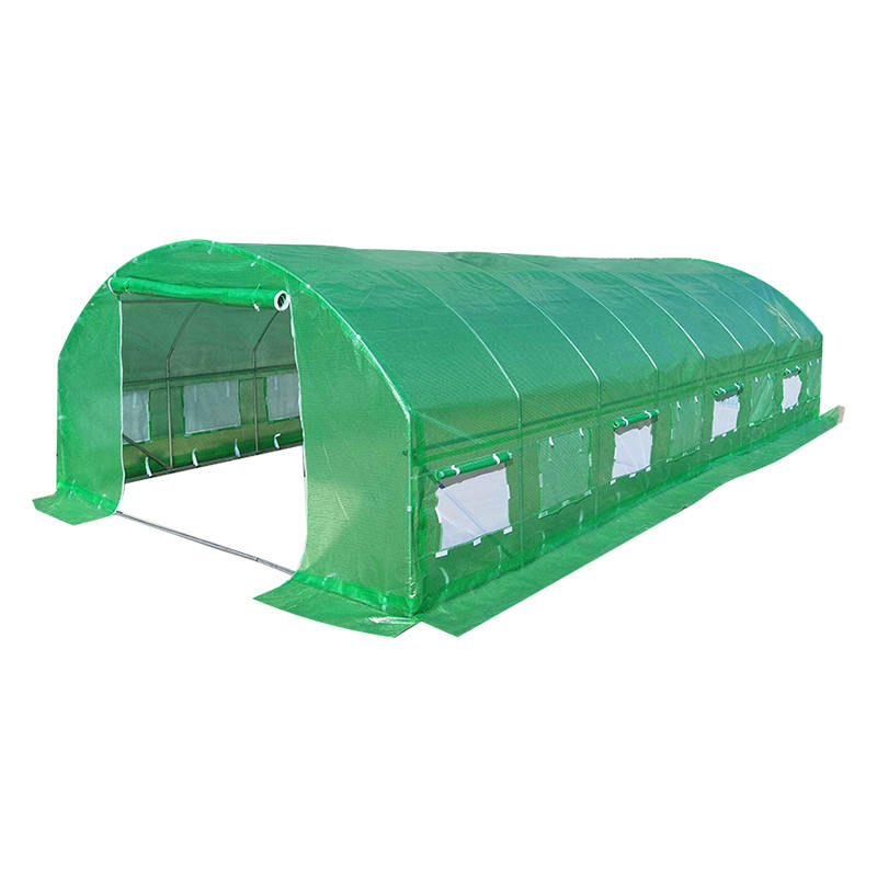 4x8x2m Foil Tunnels Roundtop High Tunnel Greenhouse