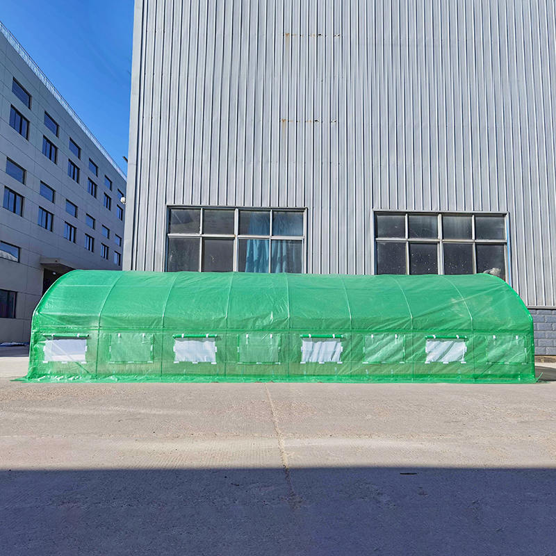 4x8x2m Foil Tunnels Roundtop High Tunnel Greenhouse