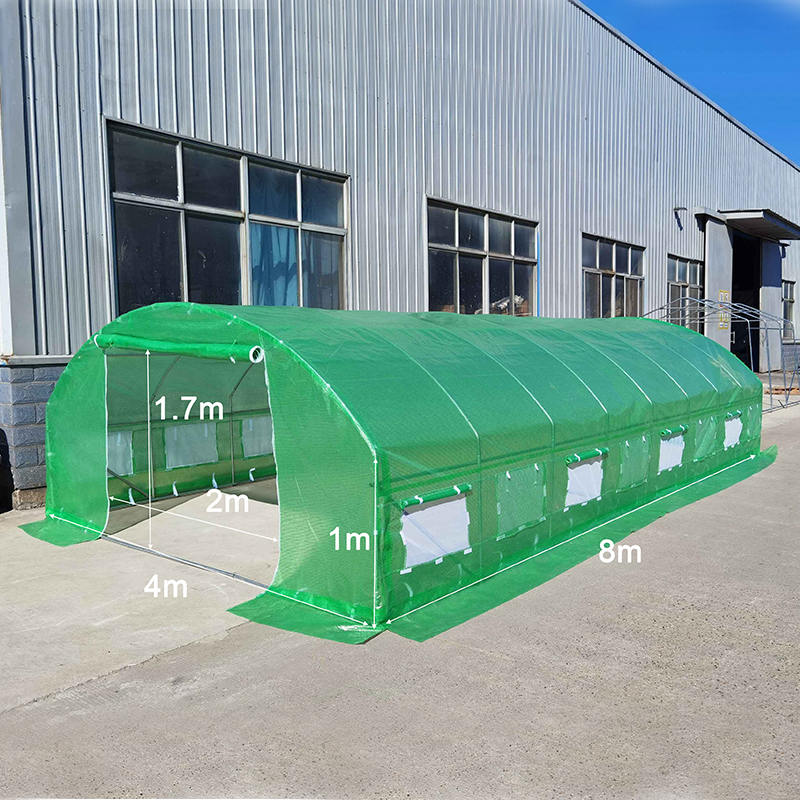 4x8x2m Foil Tunnels Roundtop High Tunnel Greenhouse