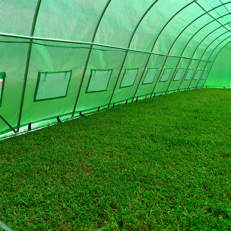 4x10x2.3m Malaking Heavy Duty Polytunnel Greenhouses