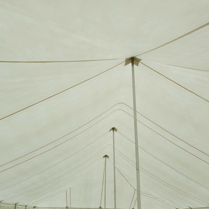 7X12m Tradisyunal na PVC Event Pole Tent na may Windows