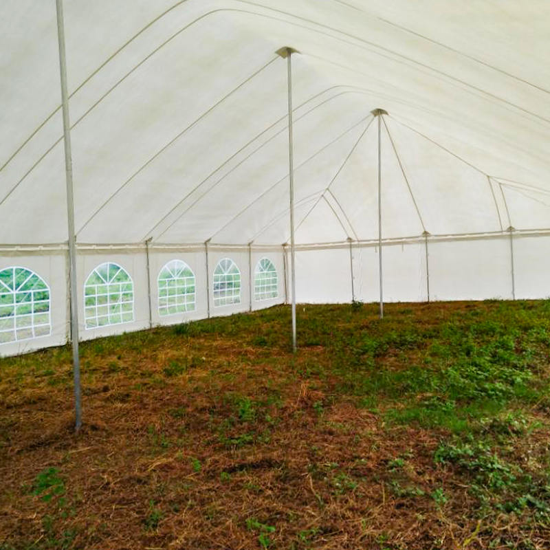 7X12m Tradisyunal na PVC Event Pole Tent na may Windows